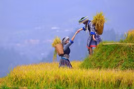 "Les empreintes du Vietnam"