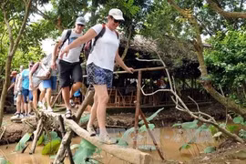 Tiên Giang se concentre sur le tourisme