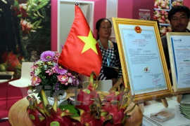 Des fruits du dragon du Vietnam présentés au Fruit Logistica 2017 à Berlin