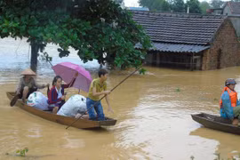 APEC 2017: bientôt la 11e conférence des hauts officiels sur la gestion des catastrophes naturelles 