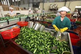 Les exportations végétales en pleine croissance