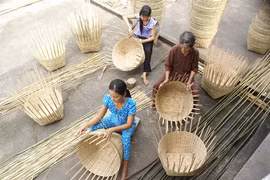 Plus de 900.000 travailleurs ruraux seront formés de 2017 à 2020