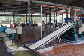 Tay Ninh attire plus de 5 milliards de dollars d’investissement au premier semestre 