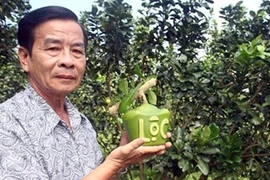 À l’approche du Têt: Des fruits «stylisés» 