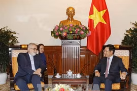 Vietnam et Iran se concentrent sur la coopération économique