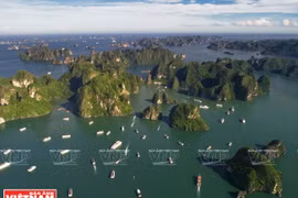 Découverte de la baie d’Halong en bateau de croisière