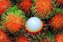 Le ramboutan du Vietnam sera exporté vers la Nouvelle-Zélande