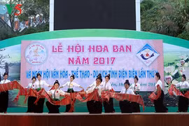 Ouverture de la fête de la fleur de bauhinie 2017 à Dien Bien