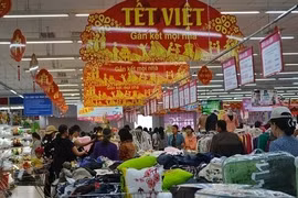 Rendez-vous à la foire-exposition «Têt Viêt 2017» à Hanoi