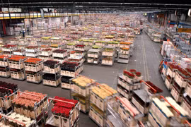 Le vice-PM Trinh Dinh Dung visite Aalsmeer, le plus grand marché aux fleurs des Pays-Bas