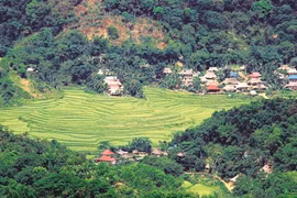 Cao Son, «Sa Pa de Thanh Hoa»