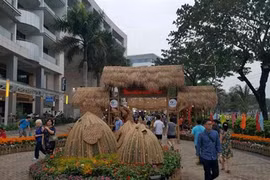 Des foires printanières aux fleurs à Ho Chi Minh-Ville