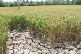 Changement climatique : plus de 130 milliards de dongs pour Tra Vinh