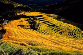 Yên Bai: Destination phare du Nord-Ouest