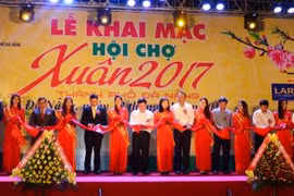 Ouverture de la foire printanière 2017 de Da Nang