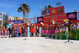 Les Vietnamiens à Chypre fêtent le Nouvel an lunaire