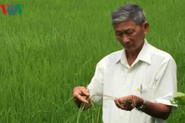 Tran Cong Len: quand le bonheur de l’un fait le bonheur des autres