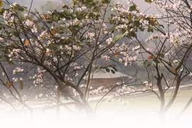 À la découverte du meilleur du Tây Bac 