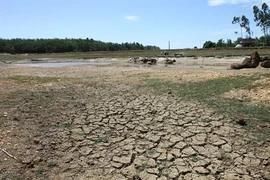 Les changements climatiques amputent de 1-1,5% le PIB
