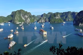 Plus de 6.200 touristes à Ha Long