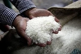 Le Laos prévoit d’exporter 400.000 tonnes de riz en 2017