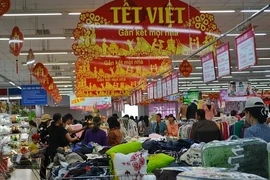 Rendez-vous à la foire-exposition «Têt Viêt 2017» à Hanoi