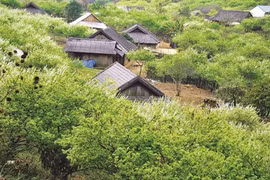 Tây Bac, une mine d’or à exploiter