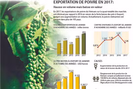 Exportation de poivre en 2017 : hausse en volume mais baisse en valeur