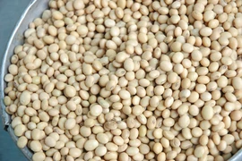 Argentine, le premier fournisseur d’aliments pour animaux du Vietnam