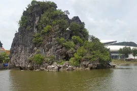 Le penjing le plus grand du pays à Quang Ninh