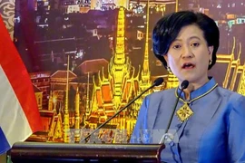 Célébration du 90e anniversaire de la Fête nationale de Thaïlande à Hô Chi Minh-Ville