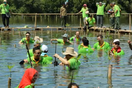 La Journée de la mangrove de l’ASEAN