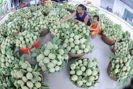 Foire-expo agricole et commerciale de la région Nord 2017 