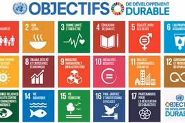 Développement durable : de l’engagement à l’action