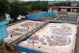 Binh Dinh attire un 2e projet japonais depuis le début de l’année