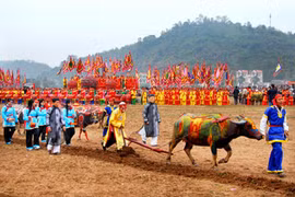 Tet 3-Fête des Labours 2017 à Doi Son