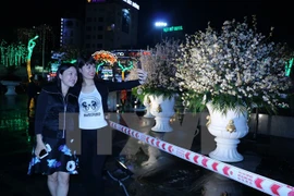 Fête des échanges culturels Hai Phong-Japon