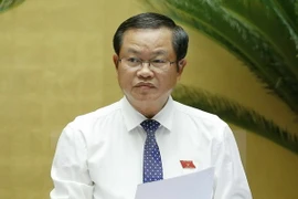 Une délégation de l'AN vietnamienne en visite de travail en Afrique du Sud