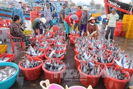 ICFO soutient les coopératives de pêche et pêcheurs du Centre