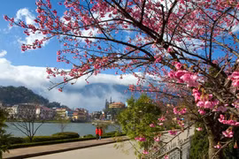 Unissons-nous d’un seul cœur pour obtenir des succès en cette Nouvelle Année! 