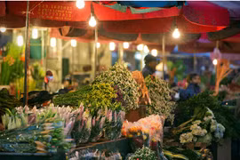 Les marchés aux fleurs de Hanoi