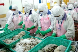 Le Vietnam, premier fournisseur de crevettes en Suisse