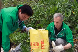 L’ambassadeur américain Ted Osius au programme "Agir pour une Ha Long verte"