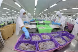 Le delta du Mékong cible les 15 milliards de dollars d'exportations en 2017