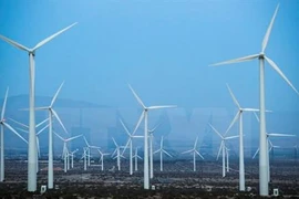 Développer l'économie verte au Vietnam