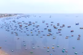 Vietnam-Indonésie : coopération dans les affaires maritimes et la pêche 