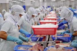 Près de 27 milliards d’USD des exportations de produits agricoles, sylvicoles et aquatiques