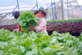 Accélérer la coopération dans l’agriculture biologique