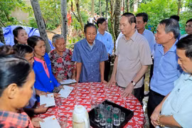 Da Nang: Tran Dai Quang inspecte des travaux pour remédier aux conséquences du typhon Damrey