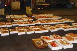 Aquaculture: des entreprises japonaises souhaitent renforcer leurs exportations au Vietnam